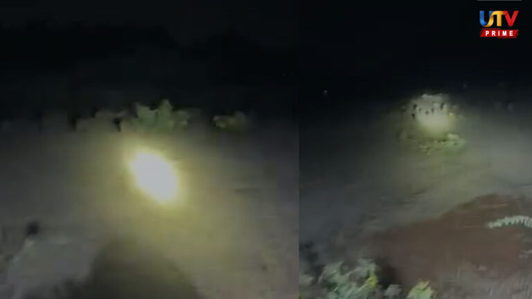 சைரன் ஒலிக்க.. மின்னல் வேகத்தில் ஓடும் காட்டு பன்றிகள்.. வைரலாகும் வீடியோ..! Pig Utv