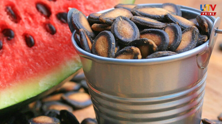 Watermelon Seeds UTV