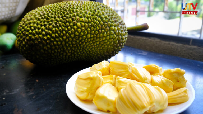 Jackfruit UTv