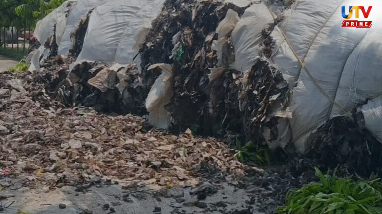 மூக்கை மூடிக்கொள்ளும் அவலம்.. சிமெண்ட் ஆலைக்கு கொண்டு சென்றபோது விபரீதம்..! Lorry UTv
