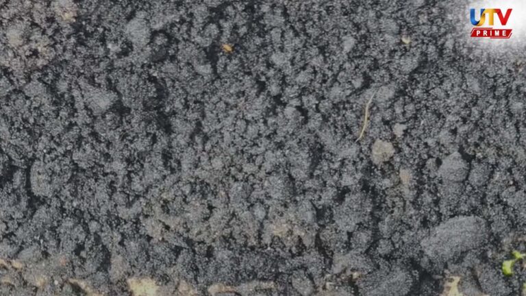 திருப்பூரில் அவலம்.. அவசரகதியில் போடப்பட்டு பெயர்ந்து போன புதிய தார் சாலை..! road Utv