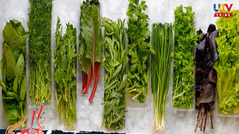 தினமும் ஒரு கீரை.. எந்தெந்த நோய்களுக்கு எந்தெந்த கீரைகளை சாப்பிட வேண்டும்? முழு விவரம்..! Greens utv