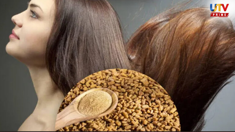 நீண்ட கூந்தல் வேண்டுமா?.. முடி கொட்டுவதை தடுத்து கூந்தலை வளர்க்கும் வெந்தயம்..! fenugreek-UTV