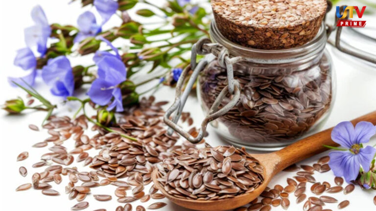 அதிகமாக சாப்பிட்டால் ஆபத்தா?.. ஆளி விதைகளின் ஆச்சரியமூட்டும் நன்மைகள்..! flax seeds UTV