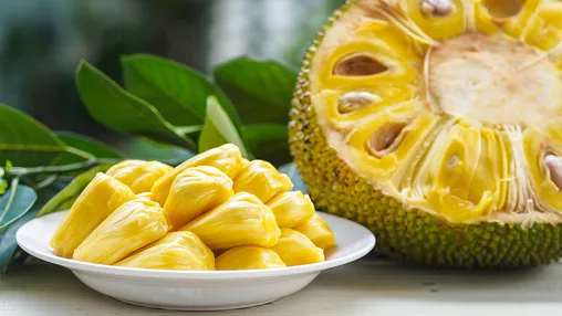 Jackfruit UTv