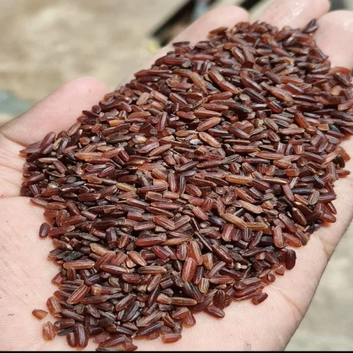 red kavuni rice Utv