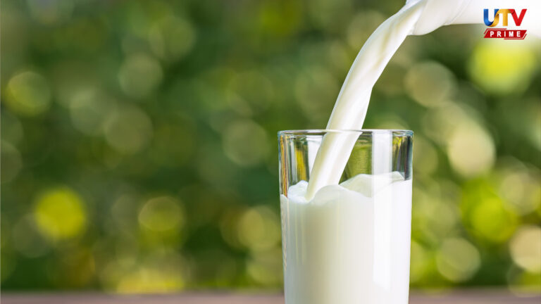 விஷமாகும் பால்.. இந்த உணவுகளோடு சேர்த்து சாப்பிட்டால் ஆபத்து நிச்சயம்..! MILK UTV