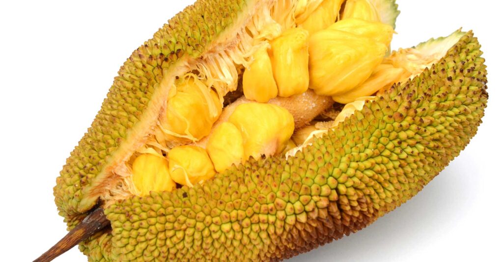 foods-to-avoid-after-eating-jackfruit-tips