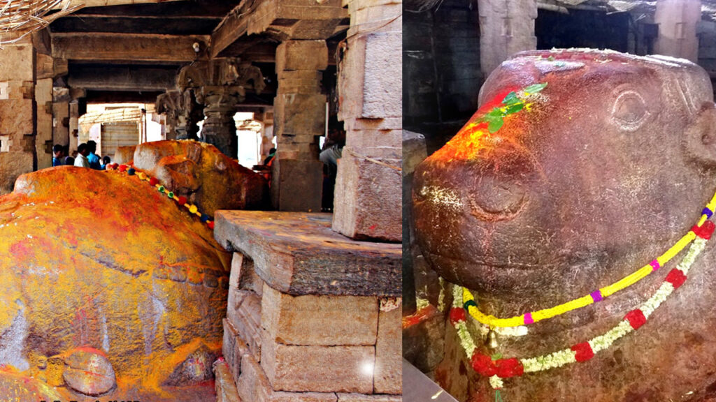 yaganti-uma-maheswara-temple-growing-nandi-mystery