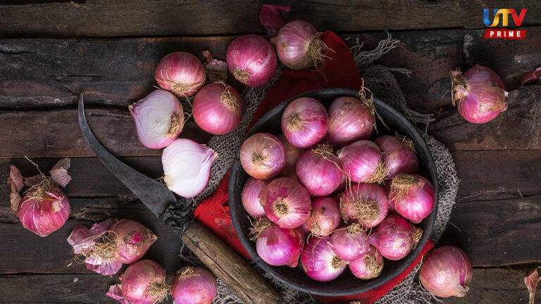 தினமும் 4 சின்ன வெங்காயம்.. எப்படிச் சாப்பிட்டால் முழு பலன் கிடைக்கும்?.. onion utv